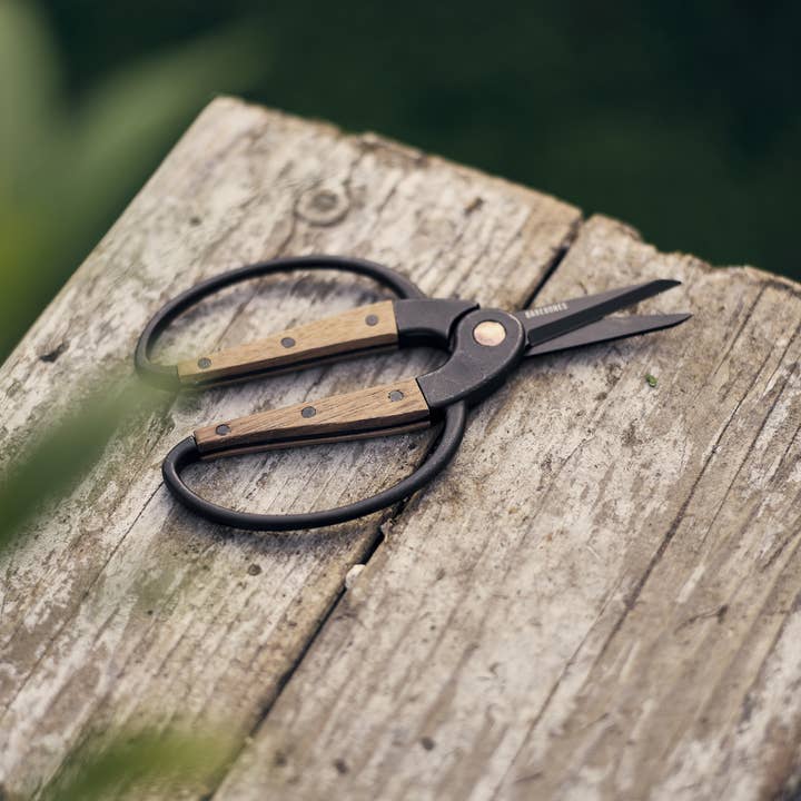 Walnut Garden Scissors- Small - Stone & Spoon