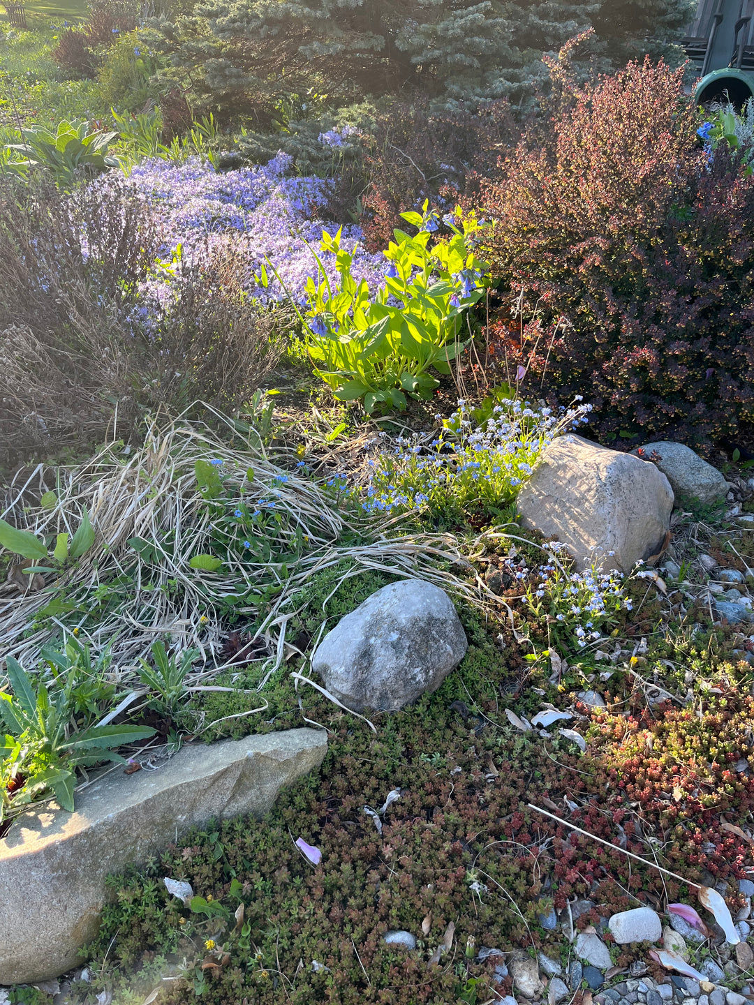 Yard of the Wu Li Messes