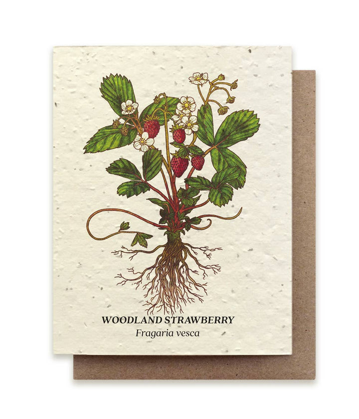 Strawberry Plantable Wildflower Seed Card