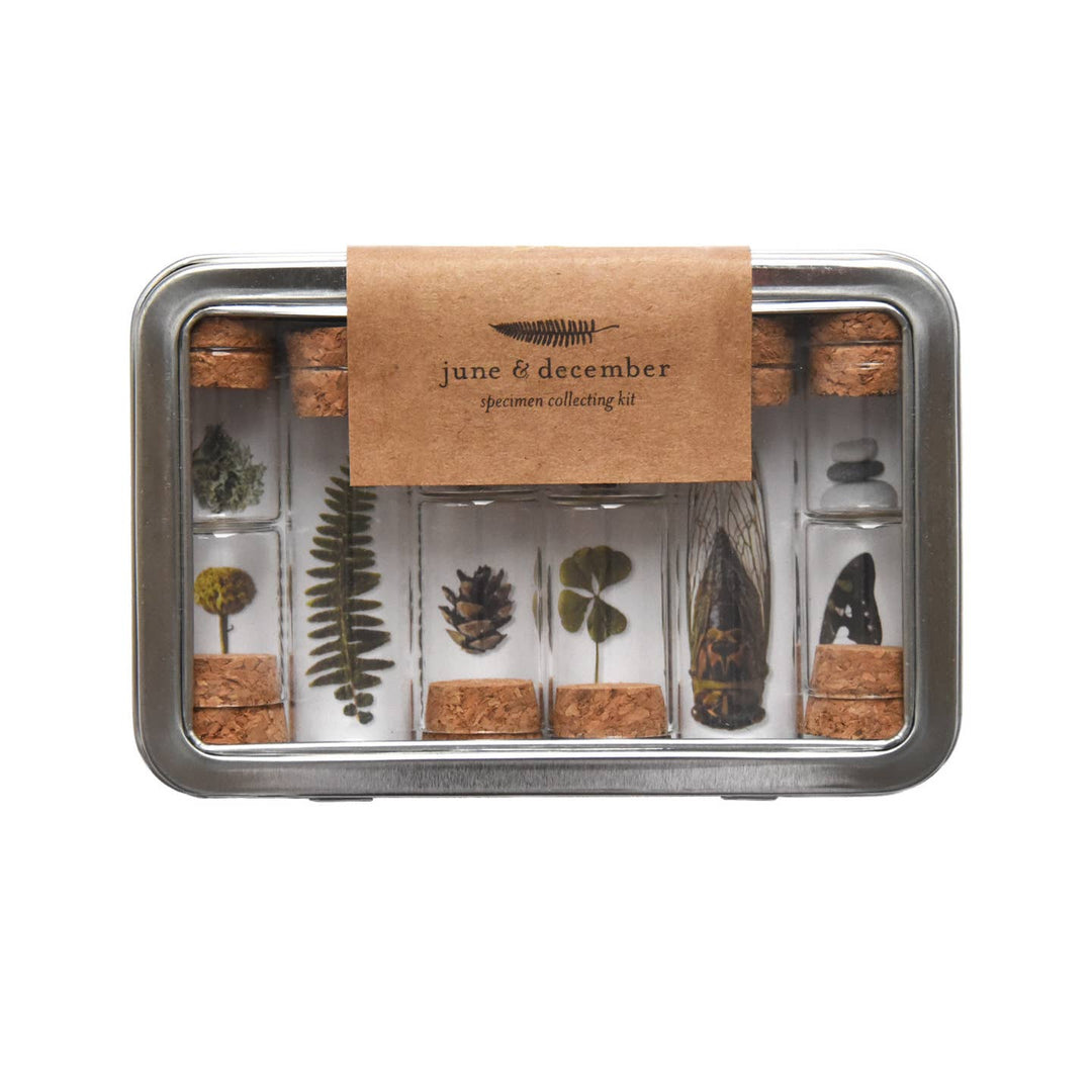 Specimen Collecting Kit - Stone & Spoon