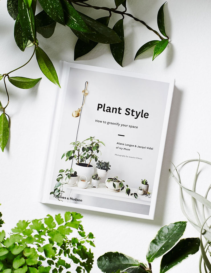 Plant Style - Stone & Spoon