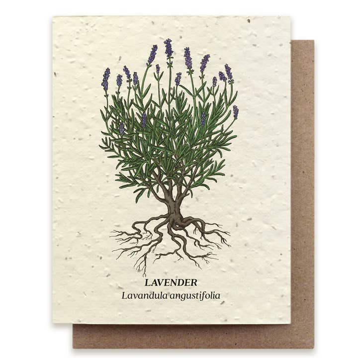 Lavender Wildflower Card - Stone & Spoon