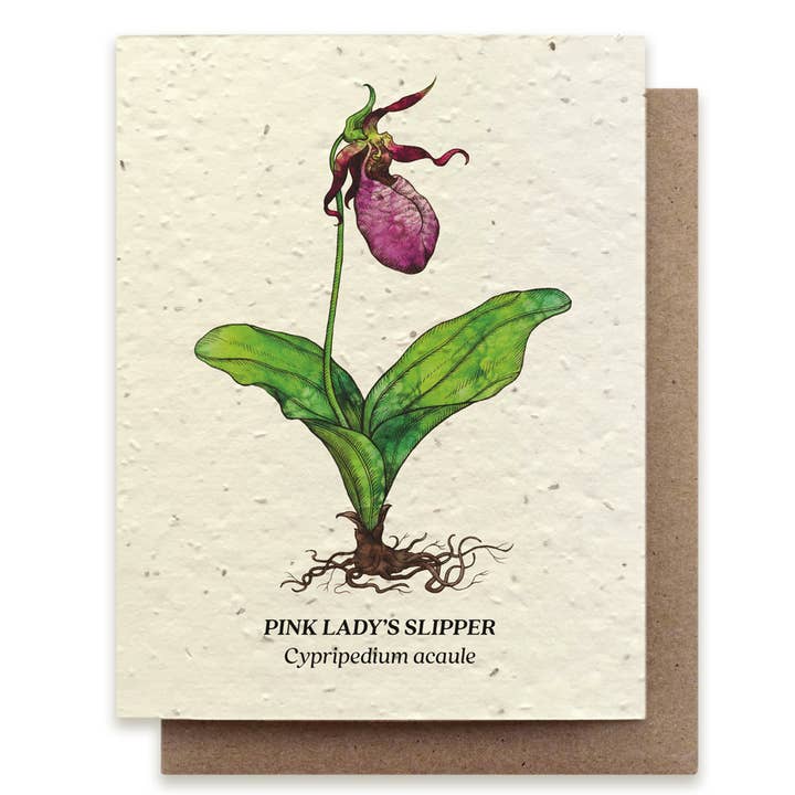 Pink Lady's Slipper Wildflower Card - Stone & Spoon
