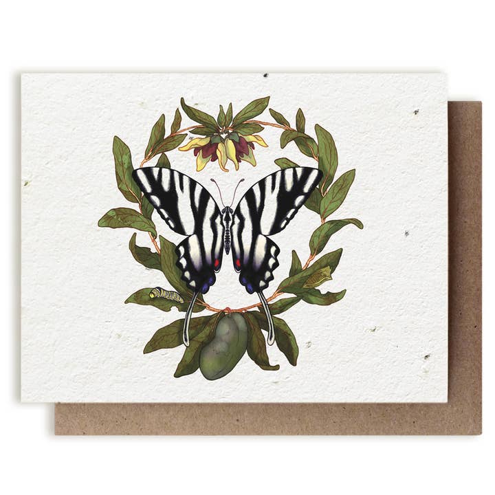 Zebra Swallowtail Butterfly & PawPaw Herb Card - Stone & Spoon