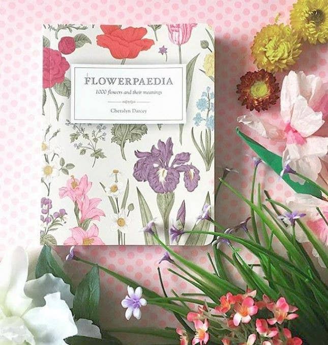 Flowerpaedia: 1000 Flowers and their Meanings - Stone & Spoon
