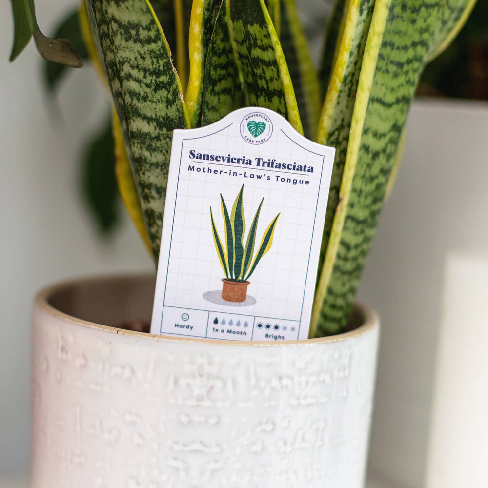 House Plant Care Tags - Stone & Spoon