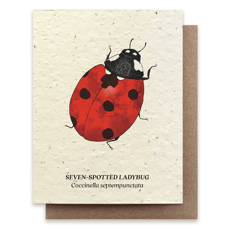 Seven Spotted Ladybug Wildflower Card - Stone & Spoon