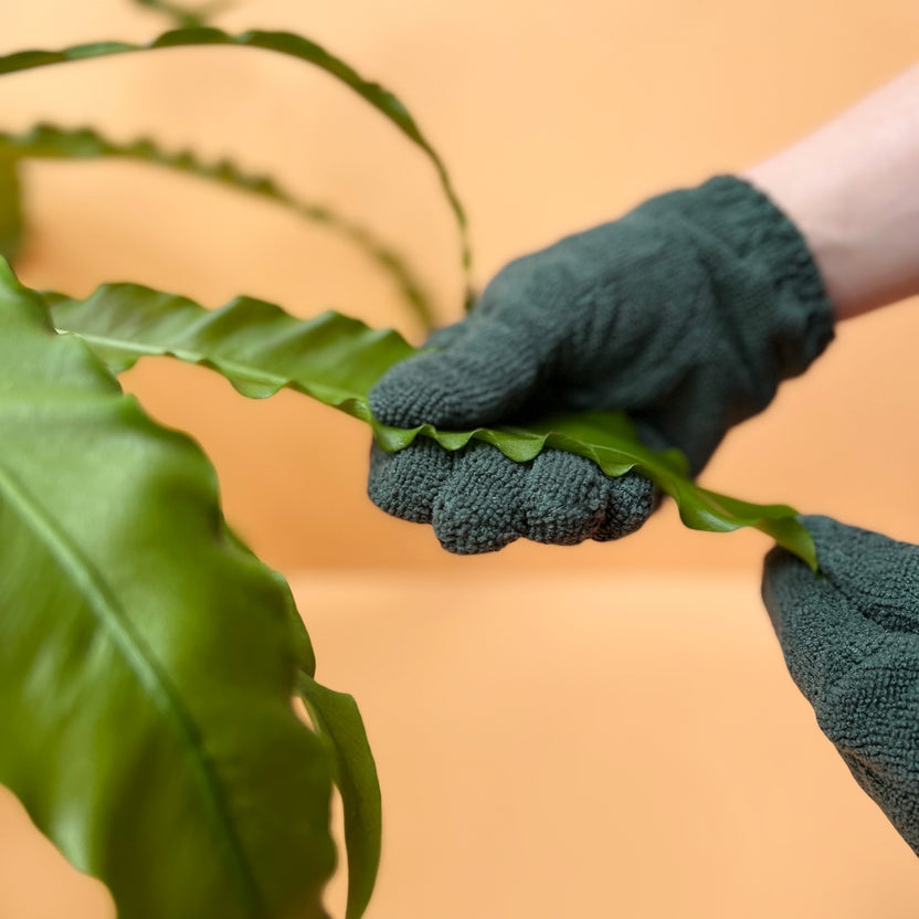 Leaf Cleaning Gloves - Stone & Spoon