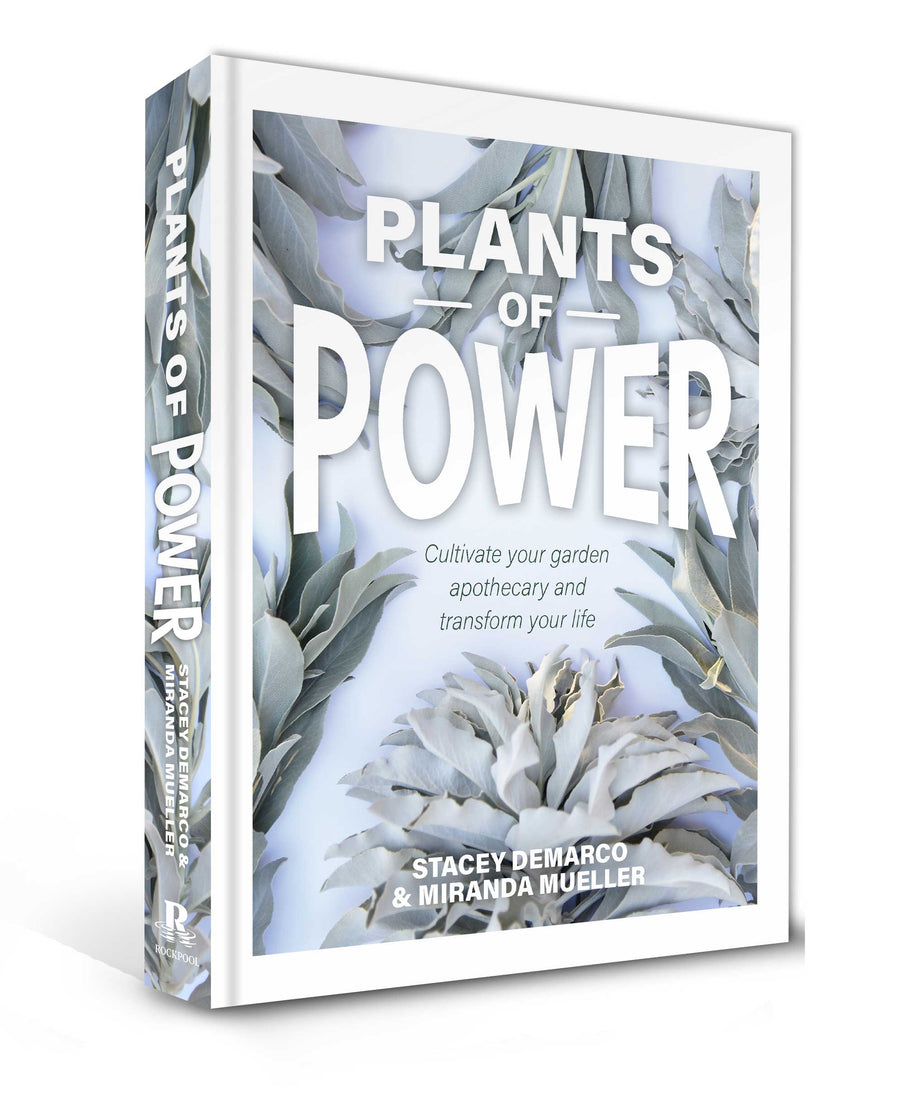 Plants of Power (Hardcover) - Stone & Spoon