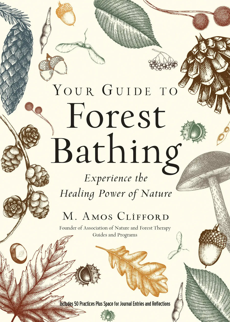 Your Guide to Forest Bathing (Expanded Edition) - Stone & Spoon
