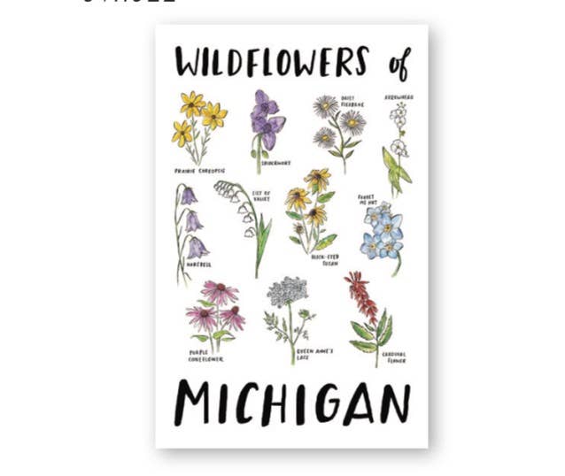 Michigan Wildflowers Vinyl Sticker - Stone & Spoon