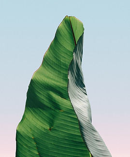 Eric by Megan Foldenauer.jpg